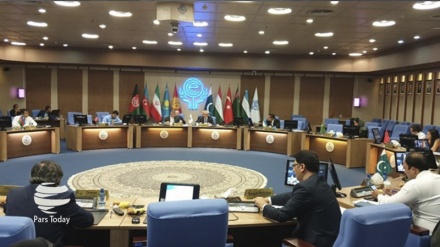 برگزاری نشست سازمان همکاری اقتصادی 