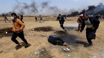 Forcat sioniste vrasin 1 palestinez, plagosin 54 të tjerë