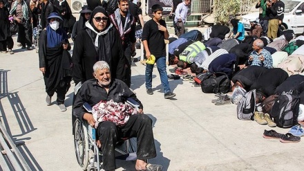 कर्बला का सफ़रः इमाम हुसैन से मुहब्बात का एक विचित्र पहलू यह है कि इंसान उनके श्रद्धालुओं की सेवा करके अजीब आनंद प्राप्त करता है, श्रद्धालुओं के सेवक और धर्मगुरु शैख़ नूर मुहम्मद सालेसी से हमारे साथी हसन अब्बास की बातचीत