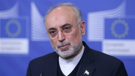 Arak reactor’s secondary part operational in 3 weeks: Iran's nuclear chief