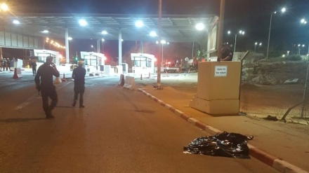 פלסטיני נורה למוות על ידי החיילים הישראלים סמוך לטול כרם