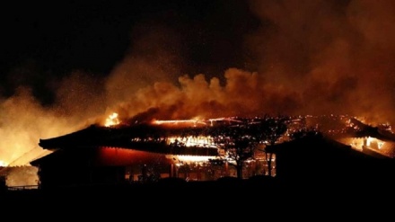 জাপানেও আগুন: ৫০০ বছরের পুরোনো শুরি প্রাসাদ ধ্বংস