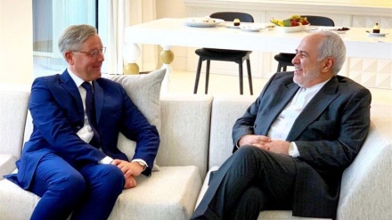 扎里夫与德国议会外交政策委员会主席会晤