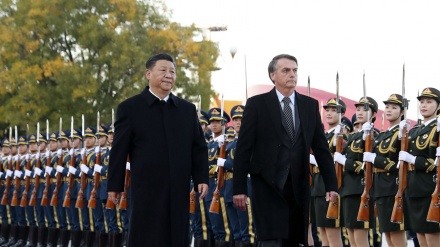 习近平同巴西总统博索纳罗会谈