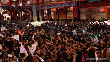 कर्बला का सफ़रः पार्स टुडे के संवाददाता हसन अब्बास कर्बला पहुंच चुके हैं, कर्बला में इमाम हुसैन के श्रद्धालुओं का जनसैलाब है, चेहलुम को कुछ ही घंटे बाक़ी हैं तो कर्बला में वह वातावरण है जिसे शब्दों में बयान कर पाना नामुमकिन है