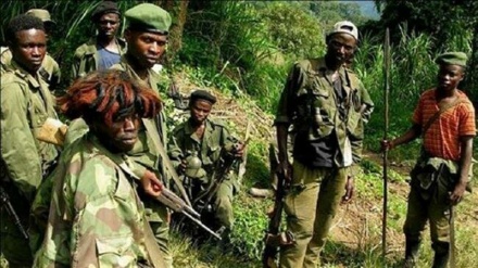 Unknown assailants kill eight people near Rwanda's volcanoes park