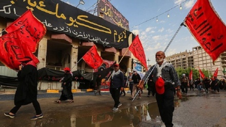 Arba'een pilgrims walking from Najaf to Karbala (1)