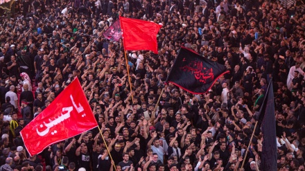 Həşi mısofiron-10