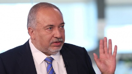 אביגדור ליברמן: חברי הליכוד שפנים