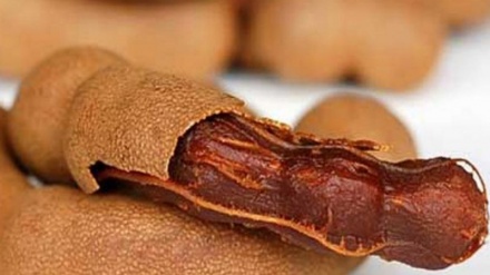 معجزه با چاشنی تمر هندی