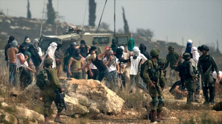 ONU: Sube violencia de colonos israelíes contra palestinos en 2019