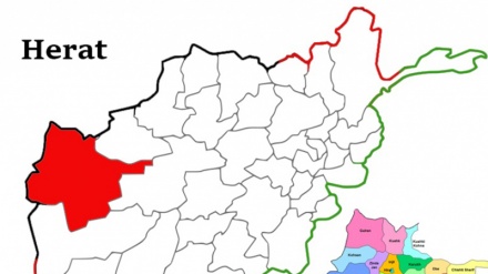 تمدید زمان قرنطینه در ولایت هرات