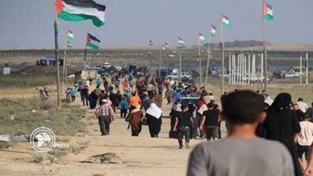 Hieren a 77 palestinos en 80.ª jornada de la Gran Marcha del Retorno+Video