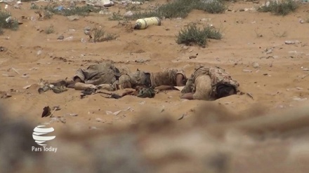 Yemen keskin nişancı operasyonunda 7 Suudi paralı asker öldü ve yaralandı