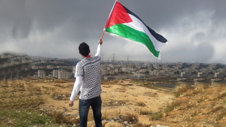 Palestina bëhet anëtare e Komitetit të të Drejtave të Njeriut të LA
