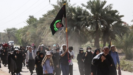 2019 Hüseyni Erbain Hamaseti-2