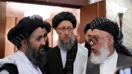 طالبان خواستار رهایی ۸۰ زندانی این گروه در ازای آزادی 2 استاد آمریکایی شد
