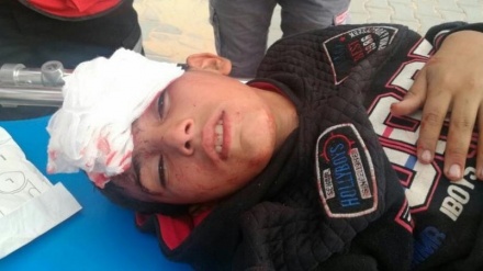 Attacking Palestine’s future