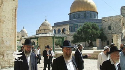 تعرض دوباره صهیونیست ها به مسجد الاقصی