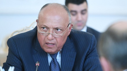 Ministri i punëve të jashtme të Egjiptit: Agresioni ushtarak i Turqisë në veri të Sirisë, shkelje e ligjeve ndërkombëtare