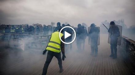La France qui résiste: 1er anniversaire