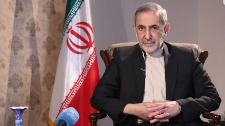 维拉亚提：伊朗将继续减少履行伊核协议的承诺