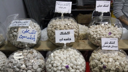 Festival Suku-suku di Iran Berlangsung di Hamedan