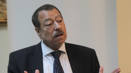 Analista árabe: Egipto debería apoyar a los palestinos