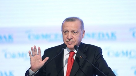 اعلام نتایج نهایی انتخابات ترکیه ؛ اردوغان با ۵۲ درصد آرا رئیس جمهور ماند