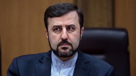 20% of IAEA inspections carried out in Iran: Envoy