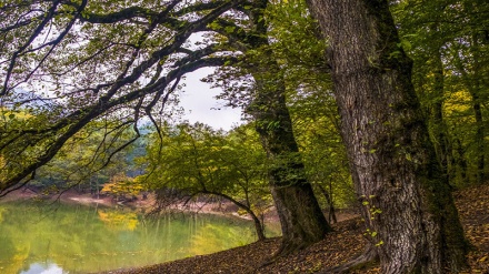 Fotos: El lago Mianshe (Churat) en la provincia de Mazandaran, Irán