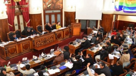 הפרלמנט של בוליביה מאשר חוק לקיום בחירות חדשות