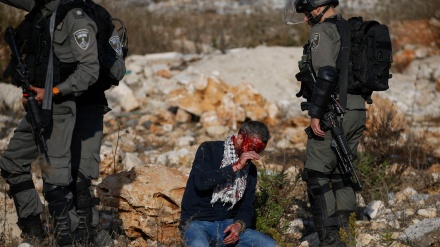 21 palestinezë verbohen në Gaza nga ushtria sioniste