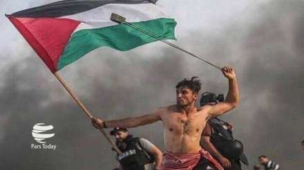 انتخاب عکس تظاهرکننده فلسطینی به عنوان عکس برتر 2019 گاردین