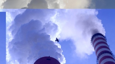 L'allarme di 11mila ricercatori, la Terra è in piena emergenza clima