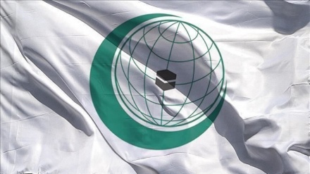 ＯＩＣ，「ガザ攻撃の結果の責任者はイスラエル」