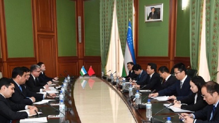 中国特别代表会见乌兹别克斯坦副外长