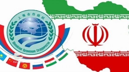 Necesidad de fortalecer la cooperación de los Estados miembros de la OCS