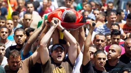 İşgalci İsrail kasım ayında 43 Filistinliyi şehit etti