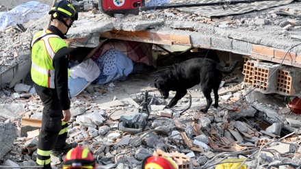 Nuevo balance: sube a 40 cifra de muertos por terremoto en Albania+Fotos