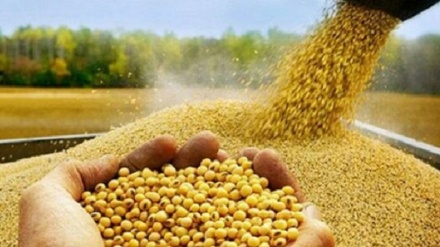 中国商务部：中美贸易战由加征关税而起 也应由取消加征关税而止