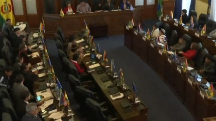 Tras golpe de Estado, Senado boliviano aprueba nuevas elecciones+Video