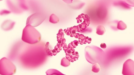 Fillimi i Javës së Unitetit dhe urime për ditëlindjen e Profetit të Shenjtë të Islamit (paqja e Zotit qoftë mbi të)