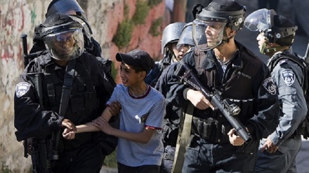 El Árbol no deja ver el bosque