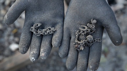 Kthimi në shtëpi i personave të evakuuar për shkak të zjarrit në Amerikë