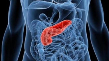 Giornata mondiale contro il tumore al pancreas