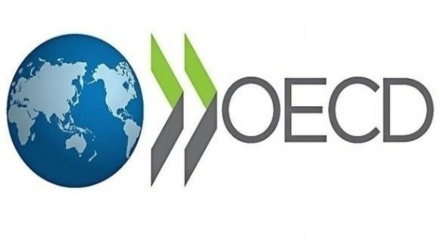 תחזית ה-OECD לישראל: האטה בצמיחה, עלייה באבטלה ובגירעון