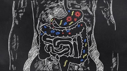 ۸ باور غلط درباره سیستم گوارش که باید آنها را کنار بگذاریم!