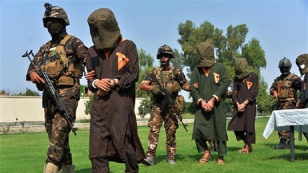 Afghan government, Taliban to exchange captives