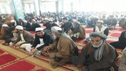 अफ़ग़ान युद्ध भी है मुसलमानों के जनसंहार की साज़िश का हिस्सा, अफगान धर्मगुरु